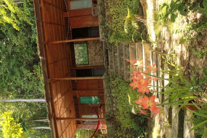 Kadidiri Paradise Batudaka Стая снимка